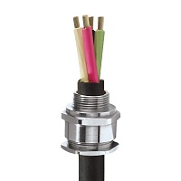 63A2F1RA537